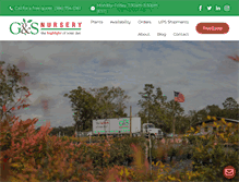 Tablet Screenshot of gsnursery.com